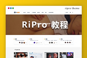wordpress Ripro主题 专用首页分类导航-风格2教程